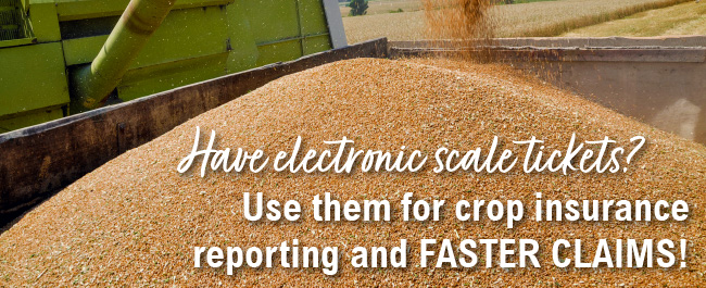 Have electronic scale tickets? Use them for crop insurance reporting and FASTER CLAIMS!