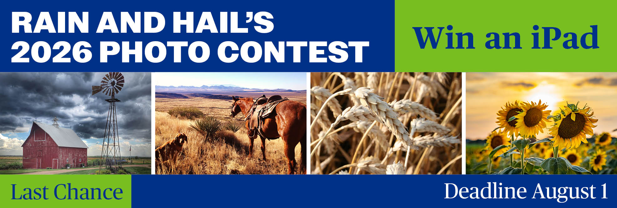 Rain and Hail's 2026 Photo Contest | Win an iPad | Deadline August 1 | Last Chance