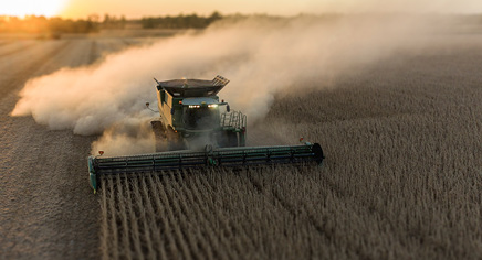 Aerial view of combines harvesting soybean field at sunset, Marion County, Illinois