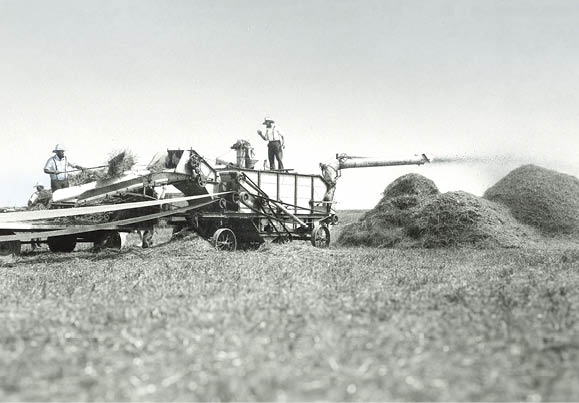 Old Farming Picture