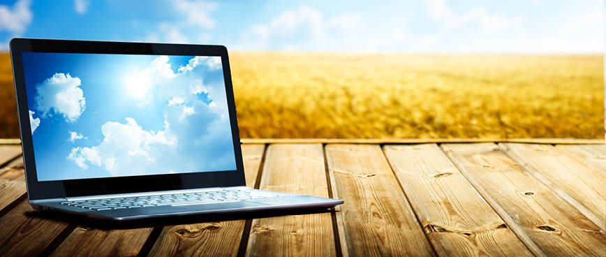 Laptop with wheat field in background