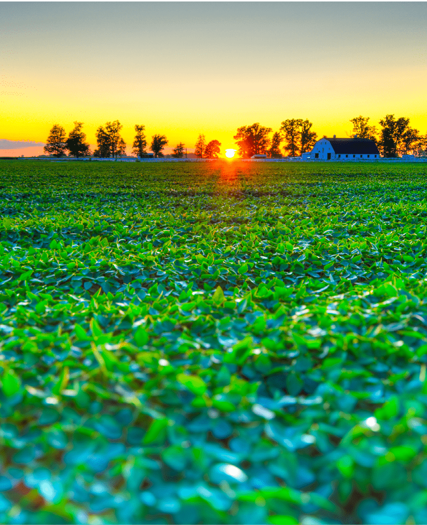 Beautiful sunset at a farm in Central Indiana. HDR image