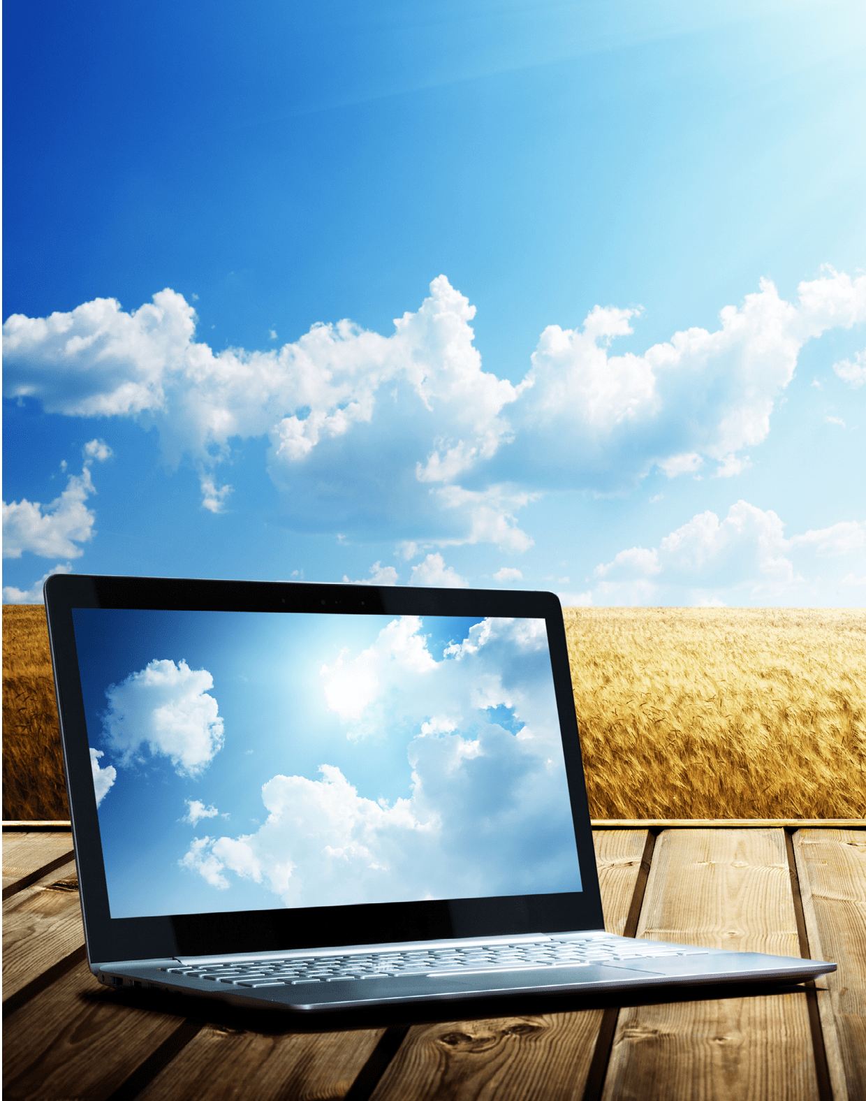 Laptop with wheat field in background