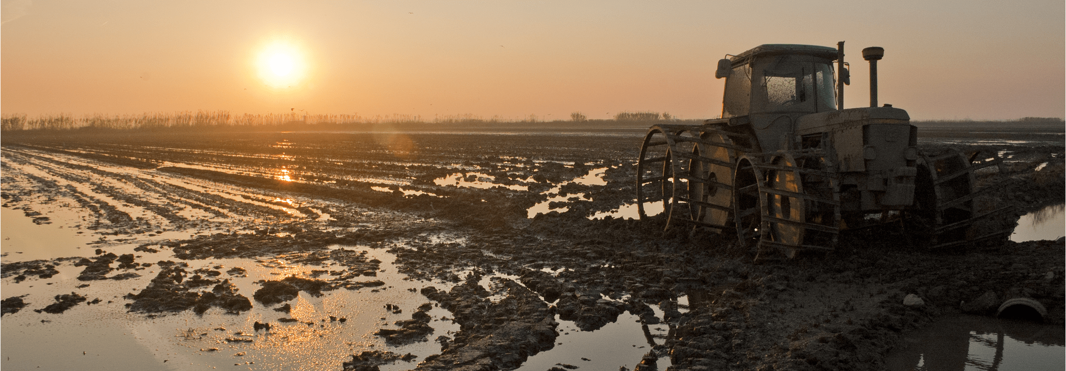 Tractor in muddy field