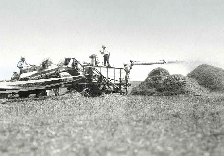 Old Farming Picture