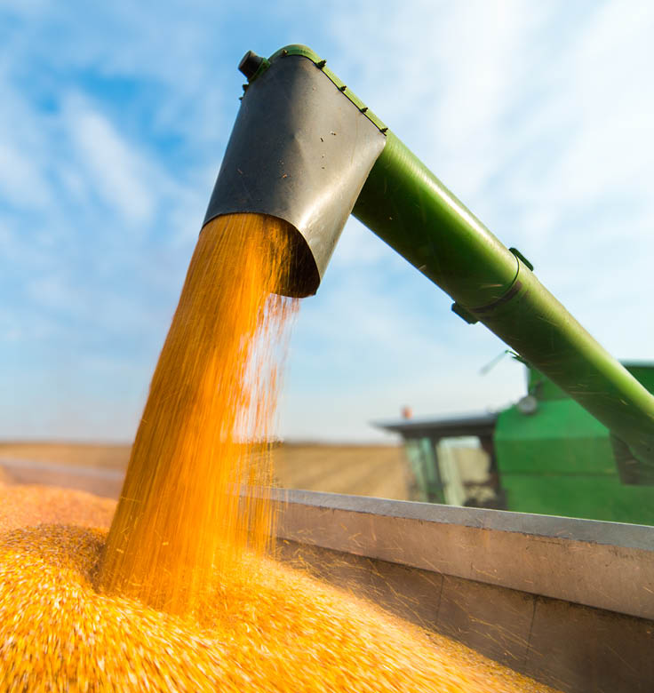 Modern Farming Picture