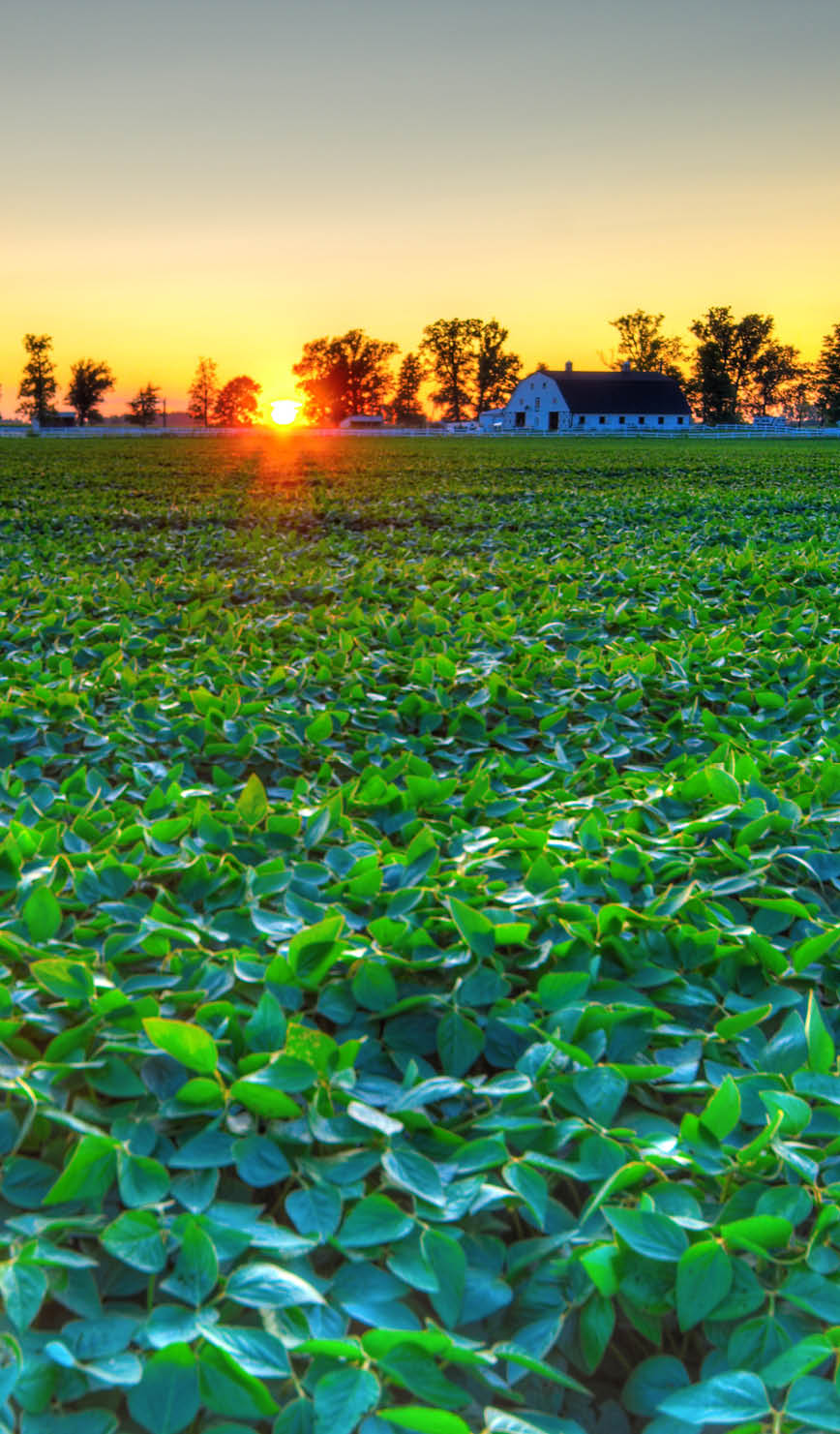 Beautiful sunset at a farm in Central Indiana. HDR image