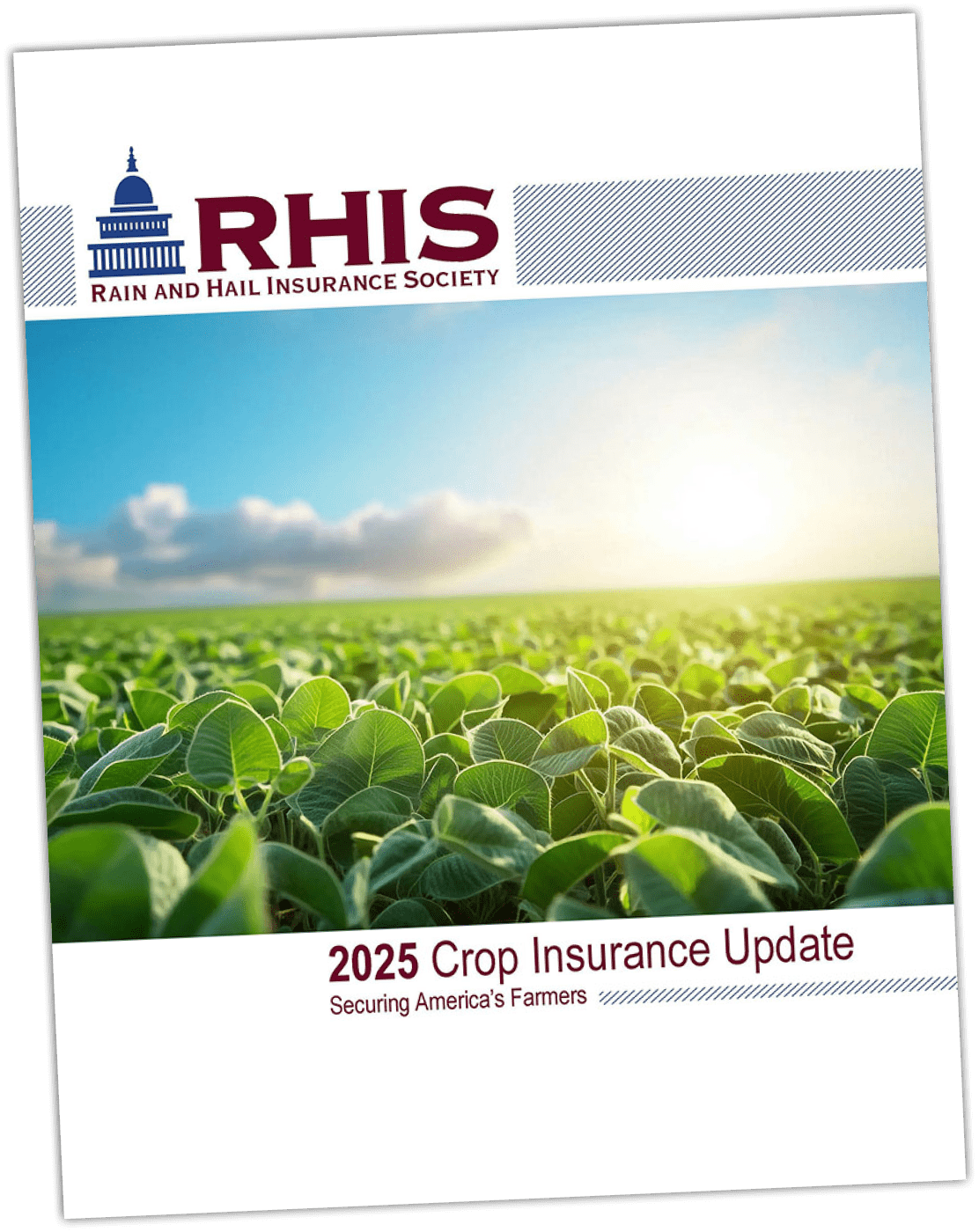 RHIS Crop Insurance Update
